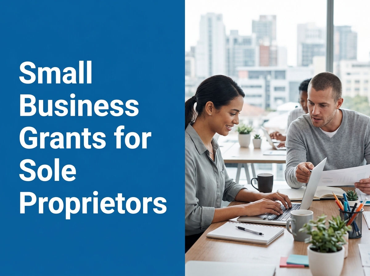 Small Business Grant Acquisition: Essential Requirements and Professional Guidelines for Sole Proprietors Image