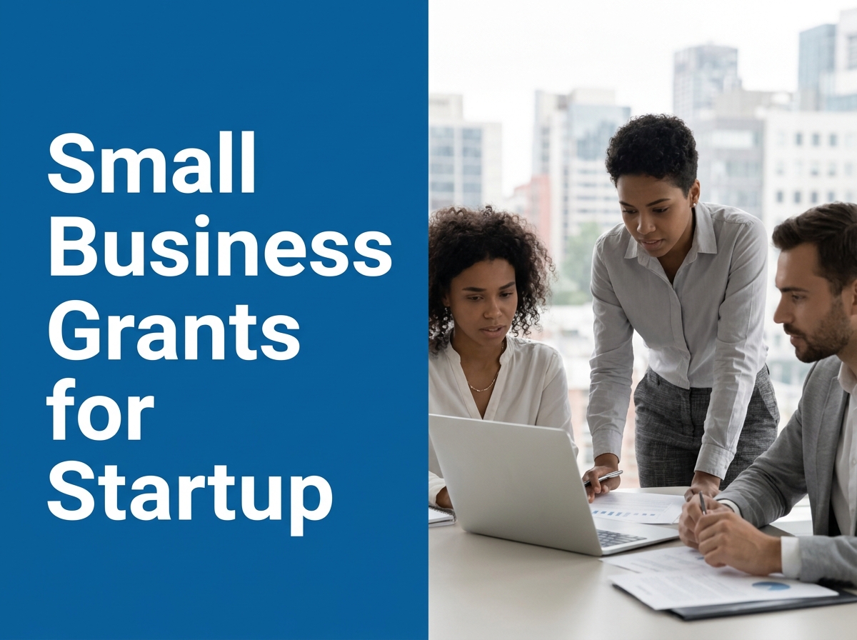 Navigating Small Business Grant Procurement: Essential Guidelines and Success Factors for Startups Image