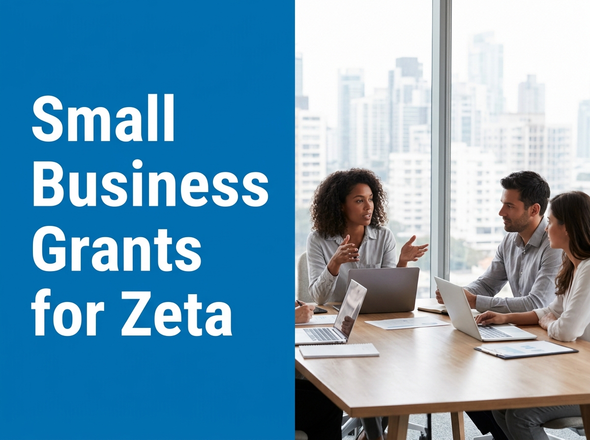 Navigating Zeta Small Business Grant Opportunities: Essential Requirements and Success Factors Image
